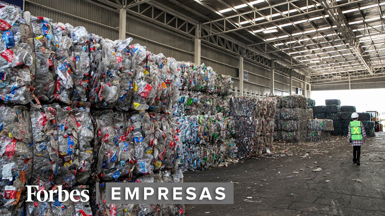 proceso de reciclado de los plásticos