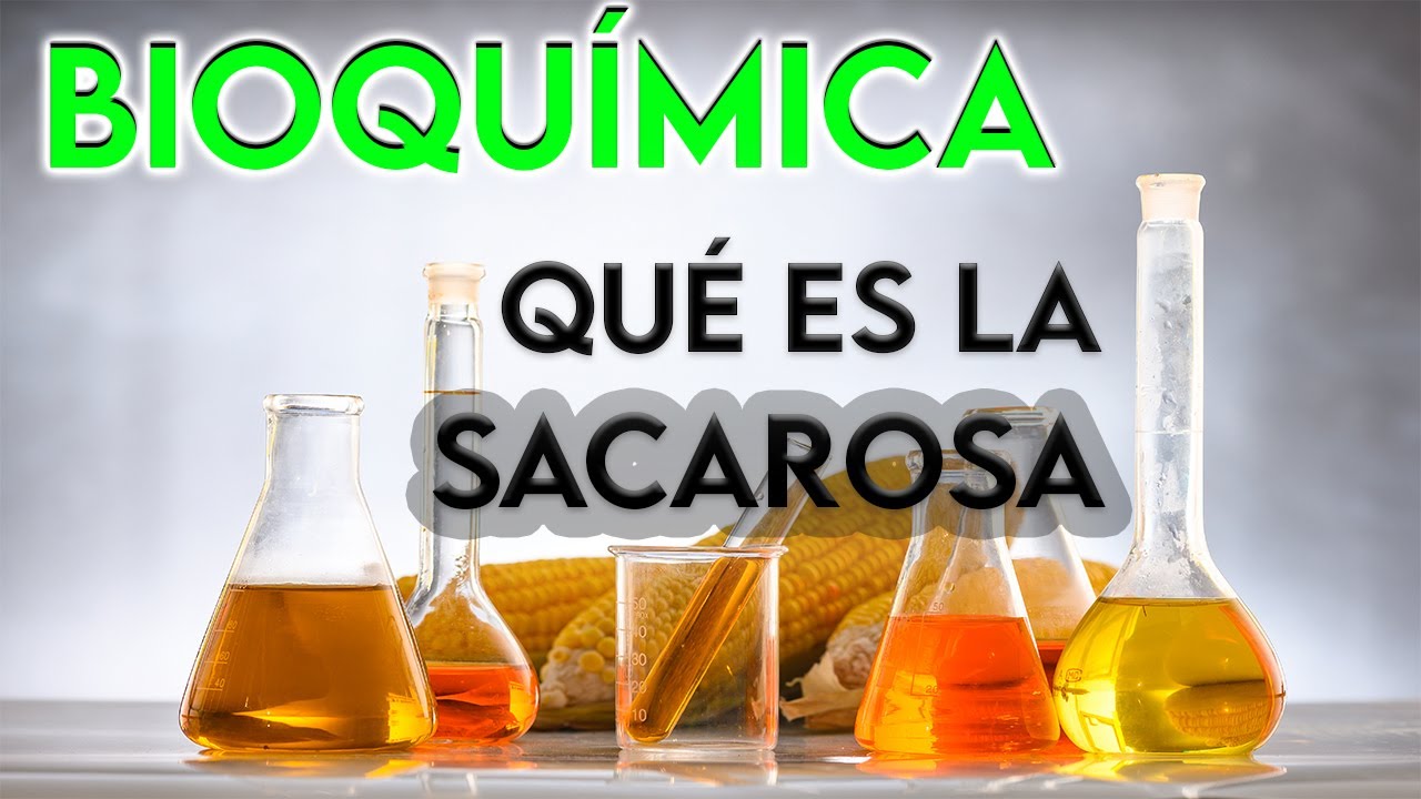 propiedades físicas y químicas de la sacarosa