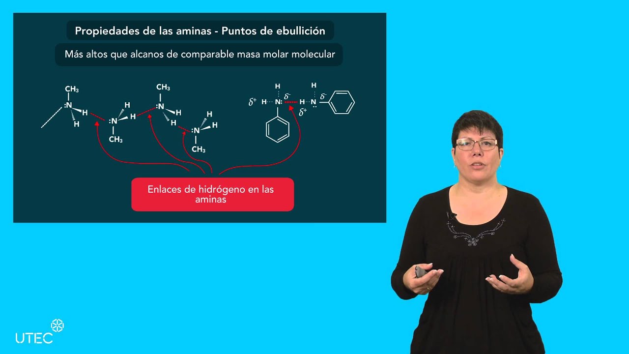propiedades fisicas y quimicas de las aminas
