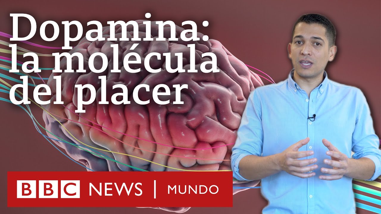 que es la dopamina en el amor