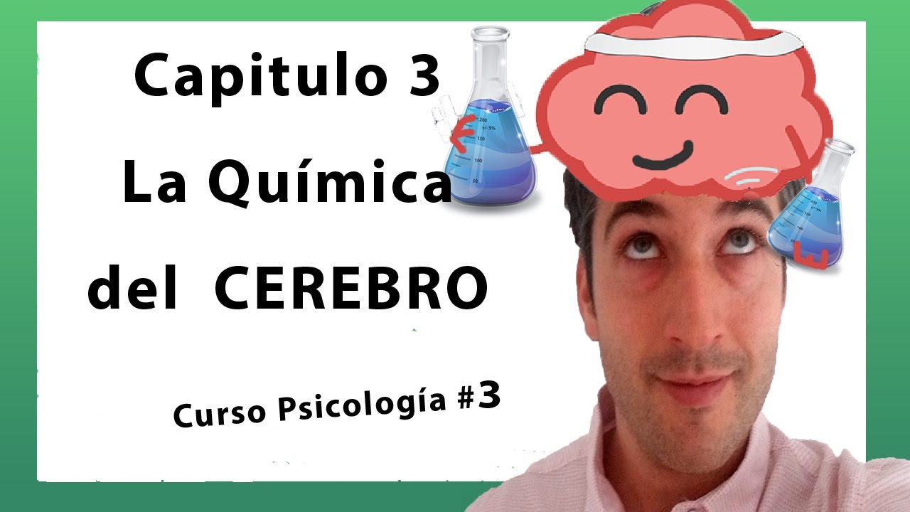 que es la quimica del cerebro