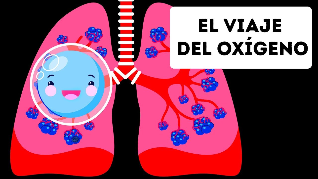 que porcentaje de oxigeno hay en el aire