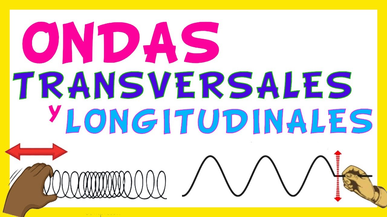 que son las ondas transversales y longitudinales