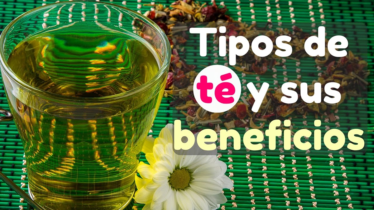 tipos de té y sus beneficios