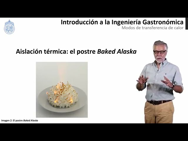 transferencia de calor por conduccion en alimentos